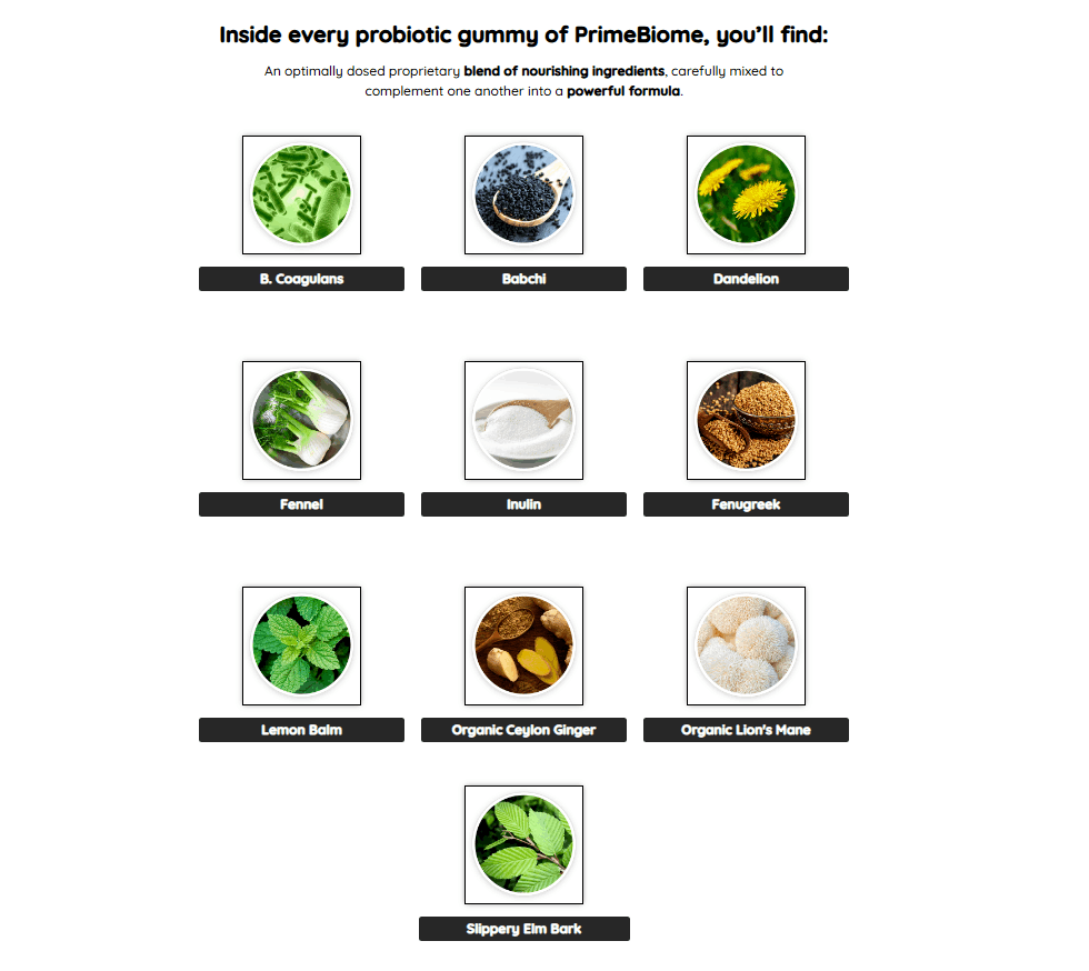 PrimeBiome Supplement with All-Natural Probiotic Ingredients for Gut, Skin, and Immune Health Support