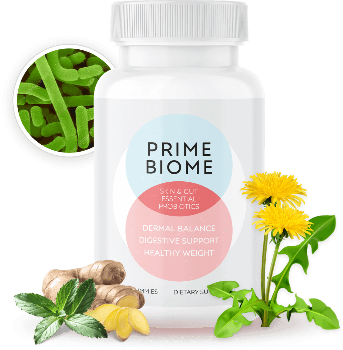 PrimeBiome Probiotic Supplement